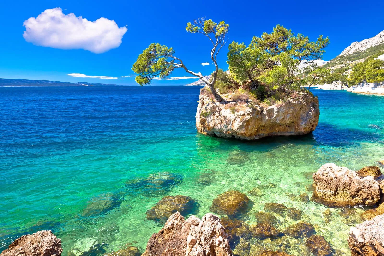 Magical beach Punta Rata with crystal clear sea in the town Brela